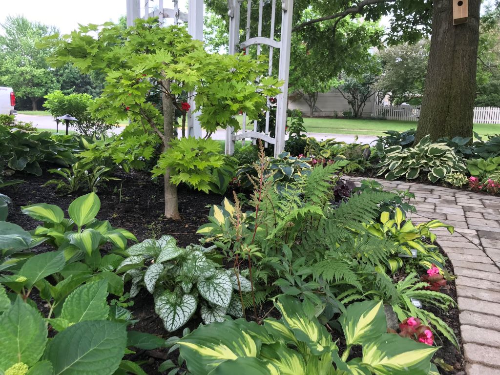 Residential Landscape Maintenance Fullerton, CA